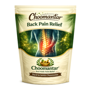 Ayurvedic Back Pain Relief Herbal Balm | Lepam